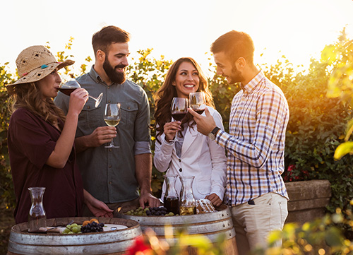 Group of People drinking wine