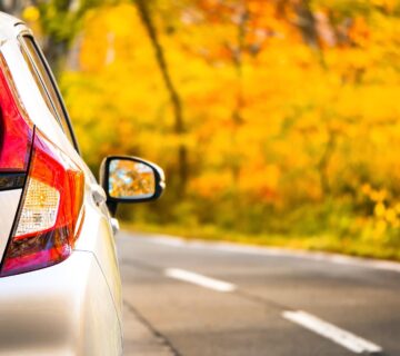 Must-See Fall Attractions in Seattle with All Black Limo