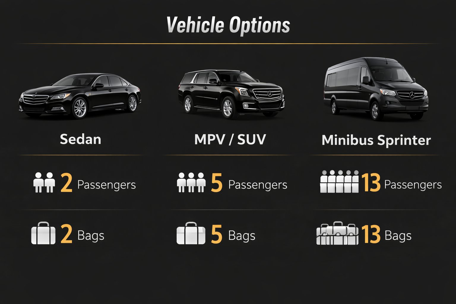 Display of three vehicle options: Sedan, MPV/SUV, and Minibus Sprinter, with passenger and luggage capacities.