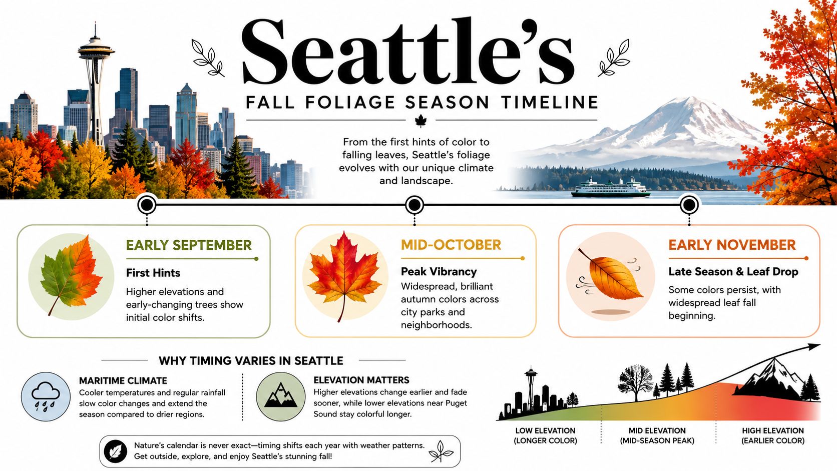 An infographic detailing the autumn leaf color change timeline in Seattle, Washington, across different months and elevations.