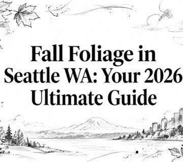 Fall foliage in seattle wa seattle illustration 360x320