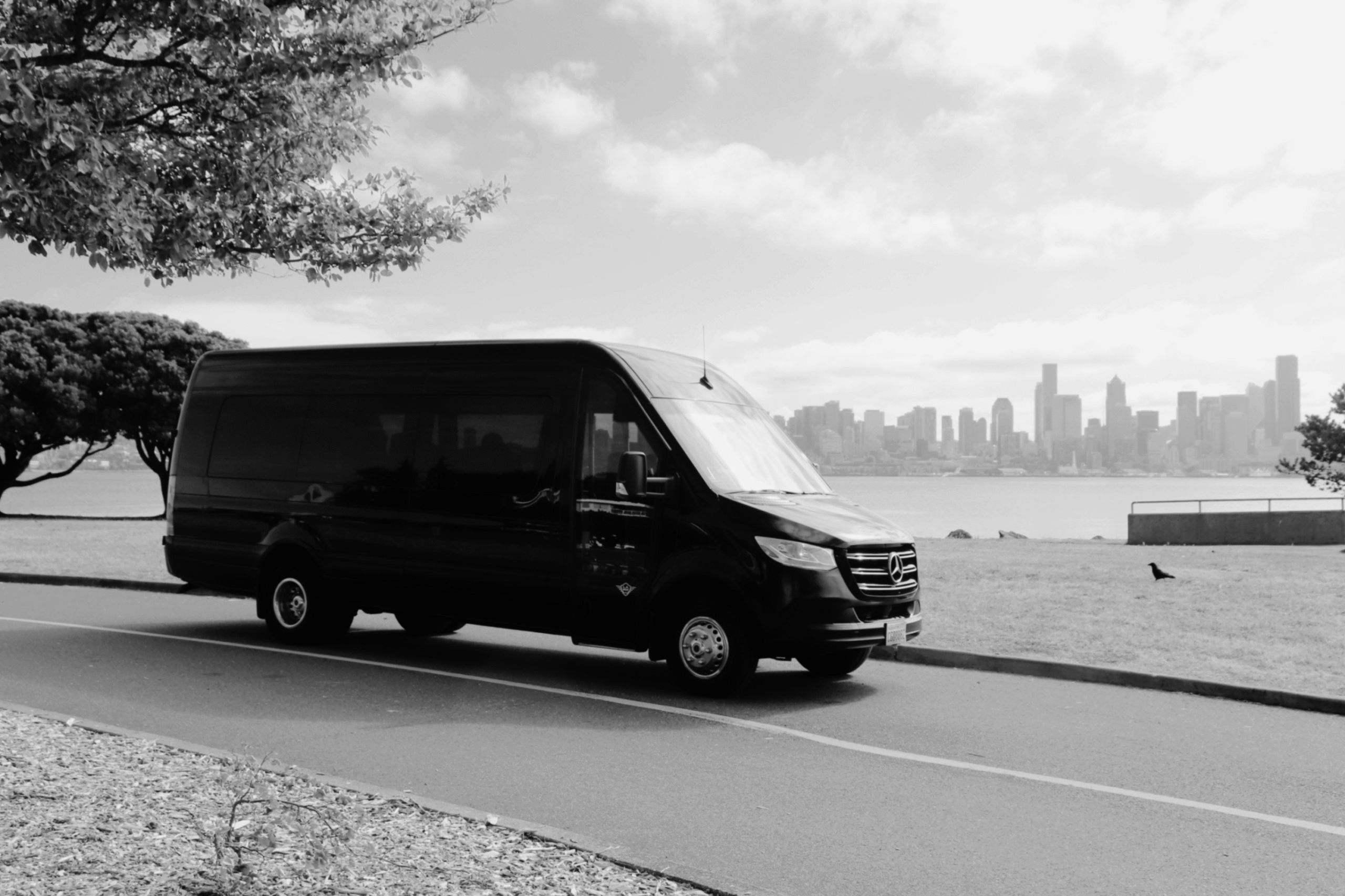 Group Limo Service Minibus