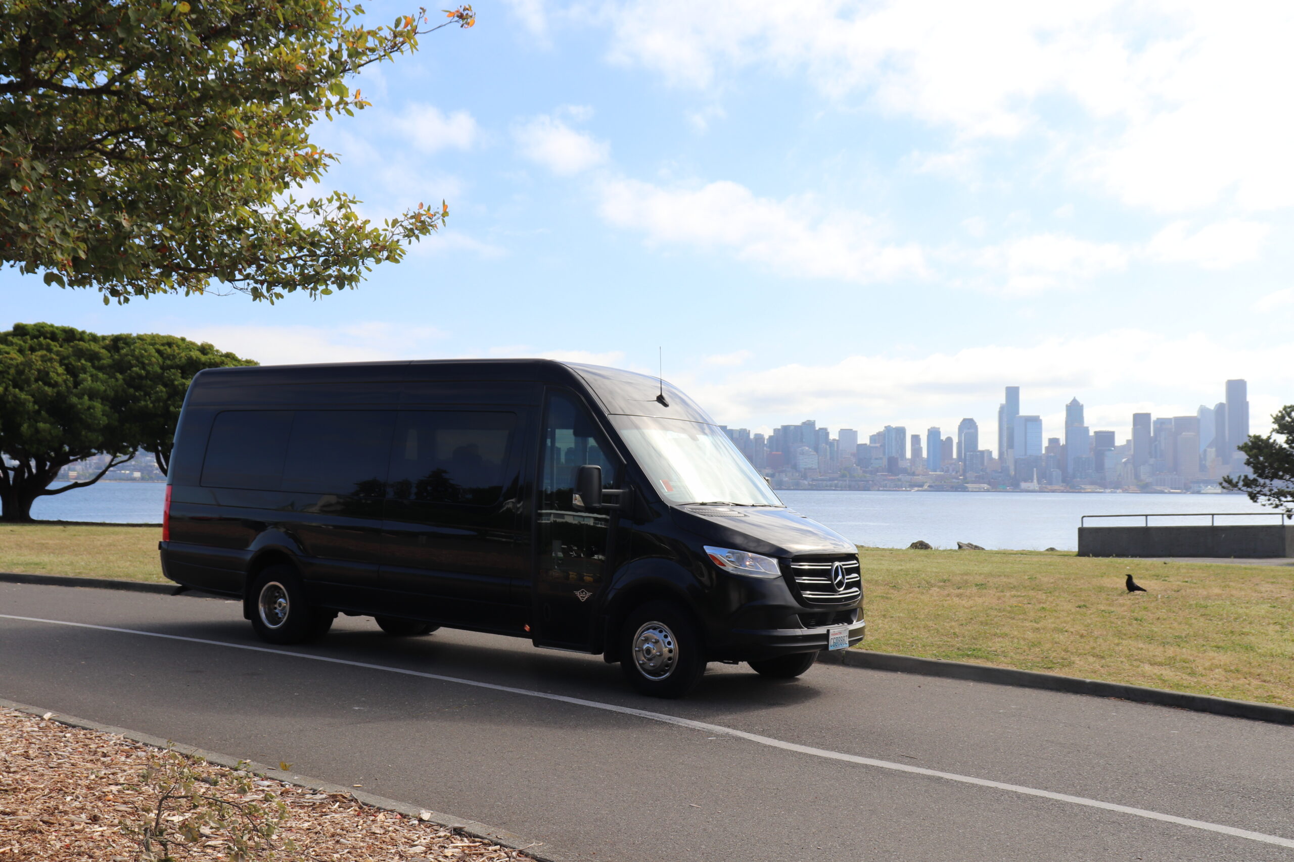 Executive Minibus